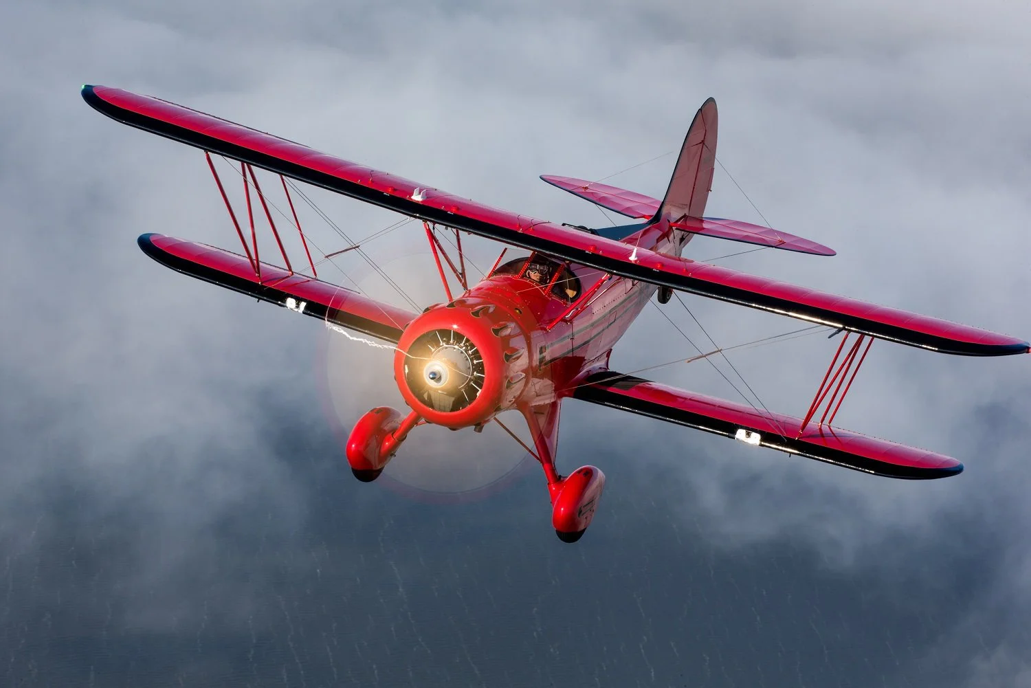 aviator india app demo